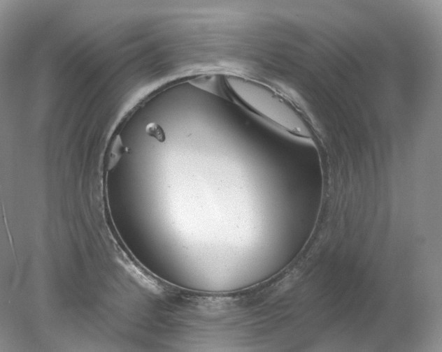 X0000078311184200611172207