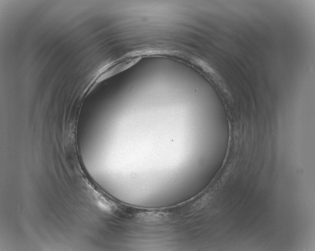 X0000078311185200611172207