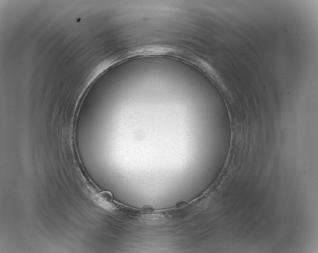 X0000078311186200611172207