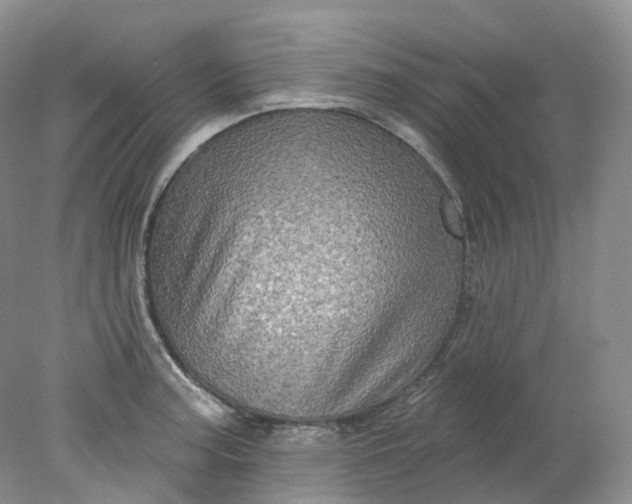 X0000078311187200611172207