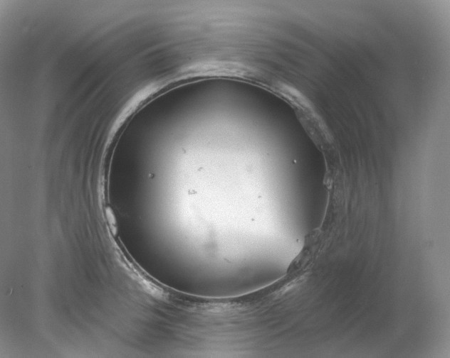 X0000078311188200611172207