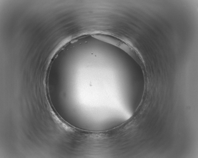 X0000078311189200611172207