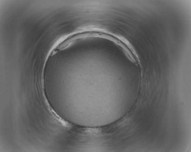 X0000078311191200611172207