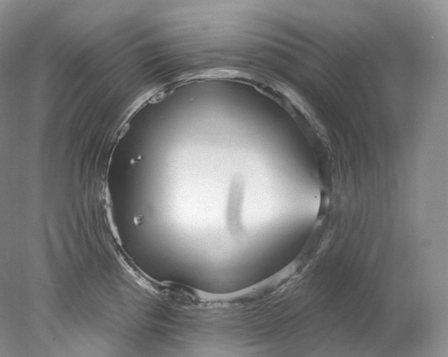 X0000078311193200611172207