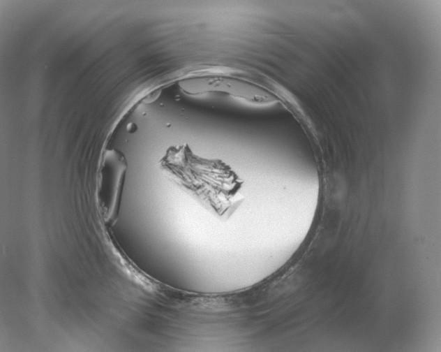 X0000078311194200611172207