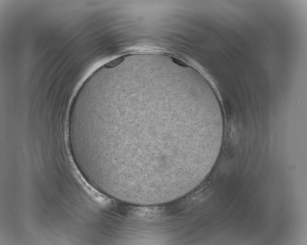 X0000078311195200611172207