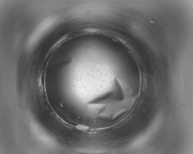 X0000078311198200611172207