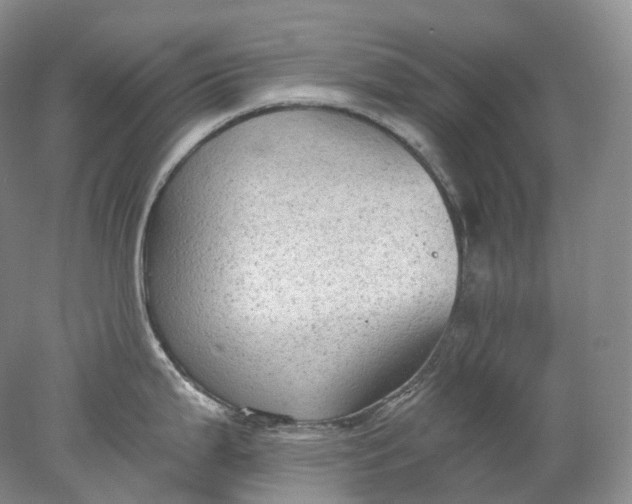 X0000078311199200611172207