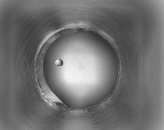 X0000078311200200611172206