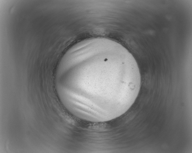 X0000078311201200611172206