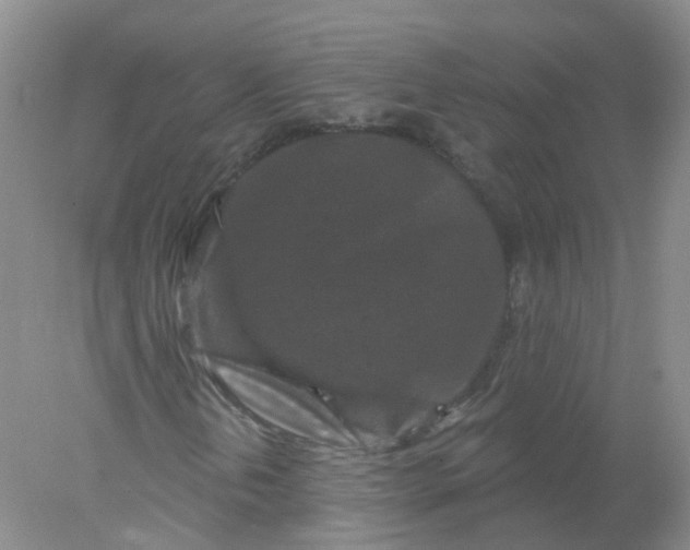 X0000078311202200611172206