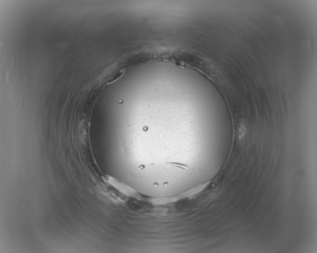 X0000078311204200611172206