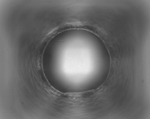 X0000078311205200611172206