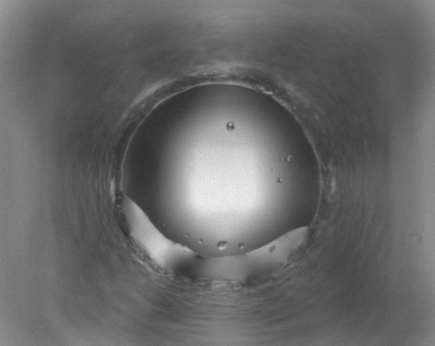 X0000078311206200611172206