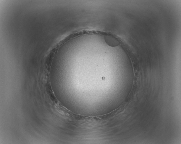 X0000078311207200611172206