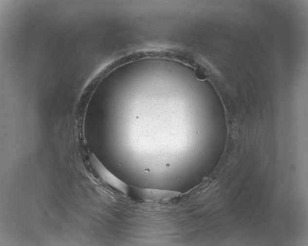 X0000078311208200611172206