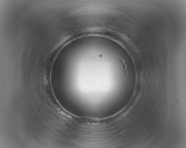 X0000078311209200611172206