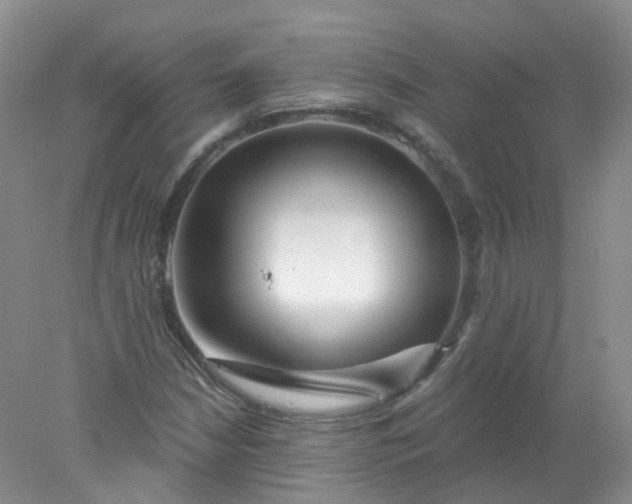 X0000078311210200611172206