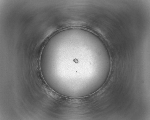 X0000078311211200611172206