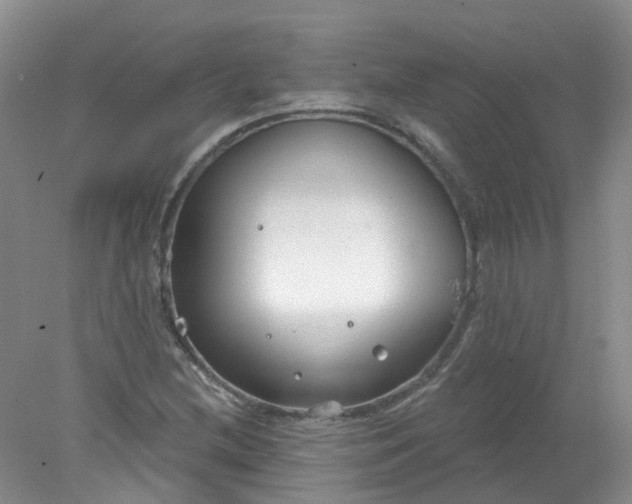 X0000078311212200611172206