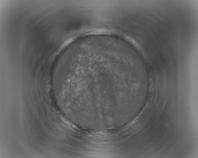 X0000078311213200611172206