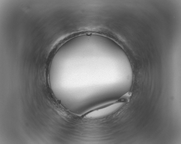 X0000078311214200611172206