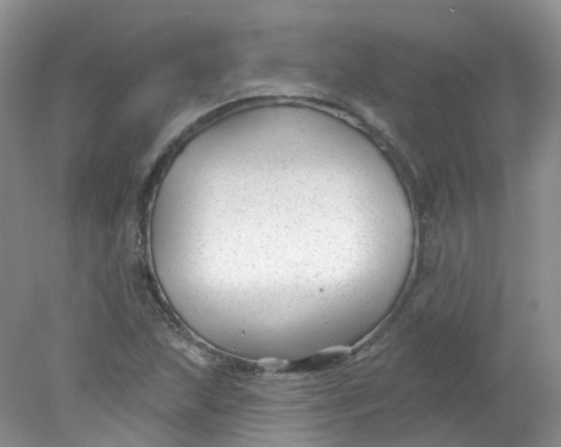 X0000078311215200611172206