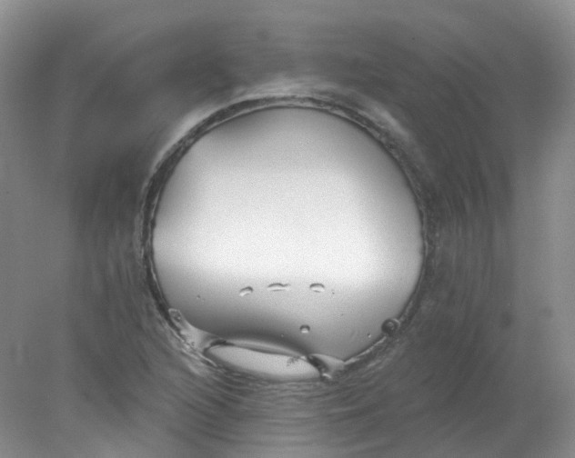 X0000078311216200611172206