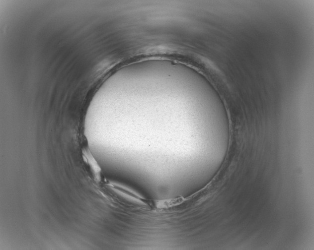 X0000078311217200611172206