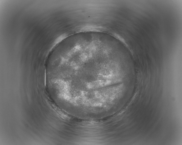 X0000078311219200611172206