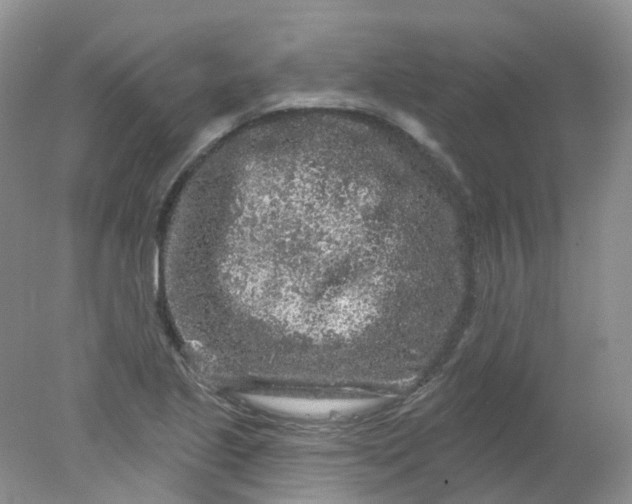 X0000078311221200611172206