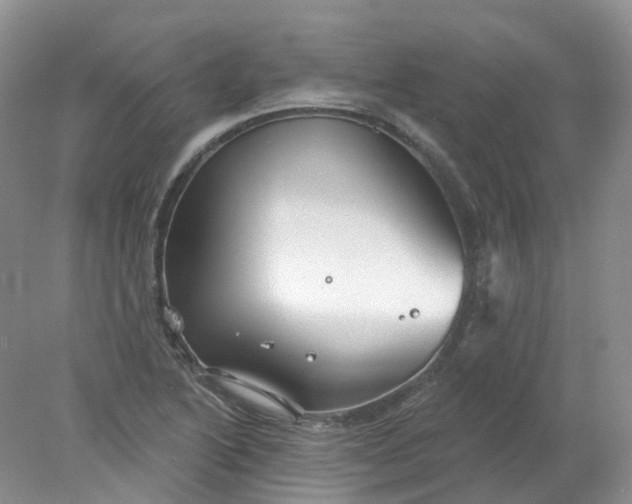 X0000078311222200611172206