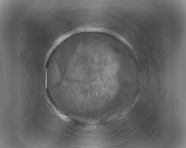 X0000078311223200611172206