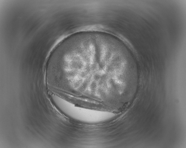 X0000078311224200611172206