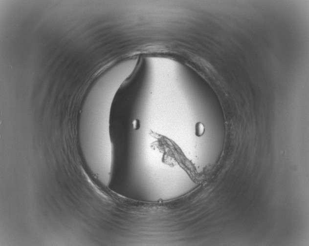 X0000078311225200611172206