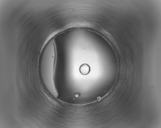 X0000078311226200611172206