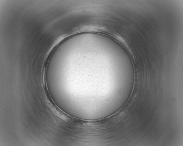 X0000078311227200611172206