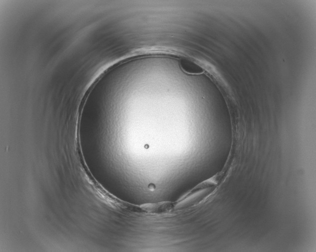 X0000078311228200611172206