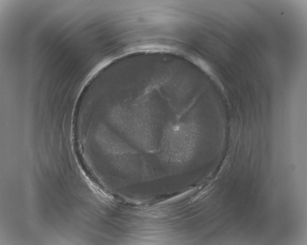 X0000078311229200611172206