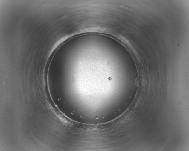 X0000078311230200611172206