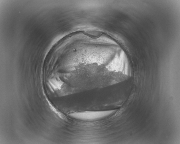 X0000078311231200611172206