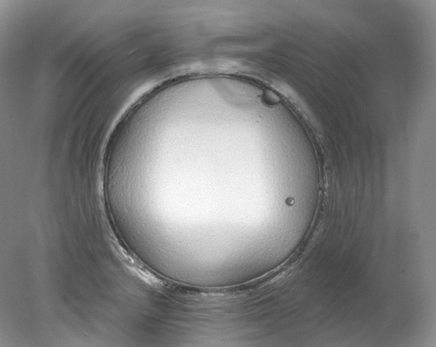 X0000078311232200611172206