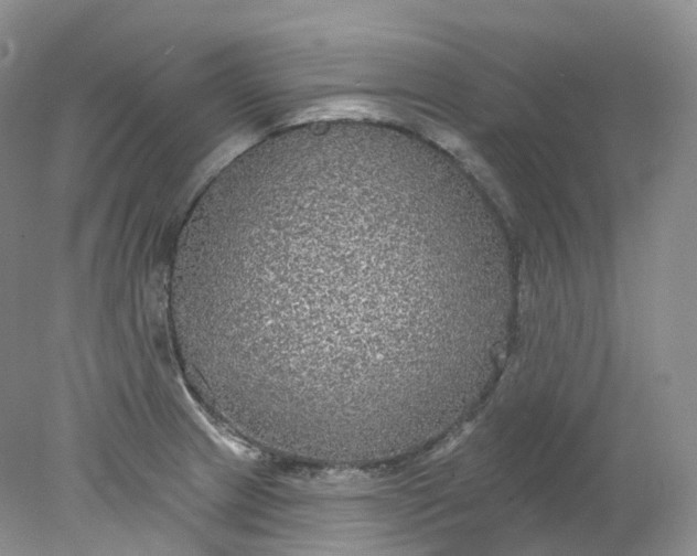 X0000078311233200611172206