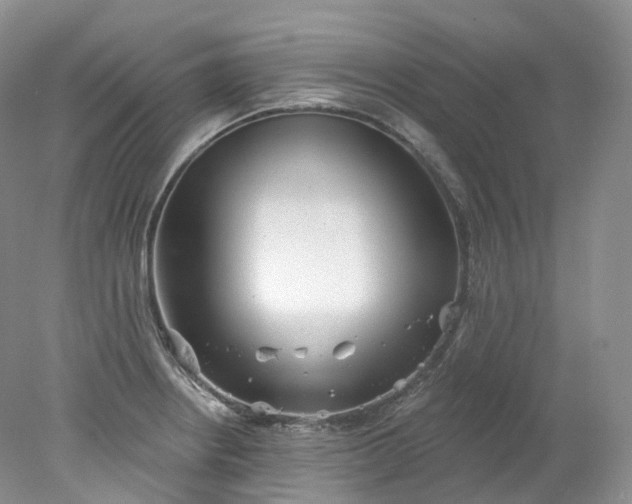 X0000078311234200611172206