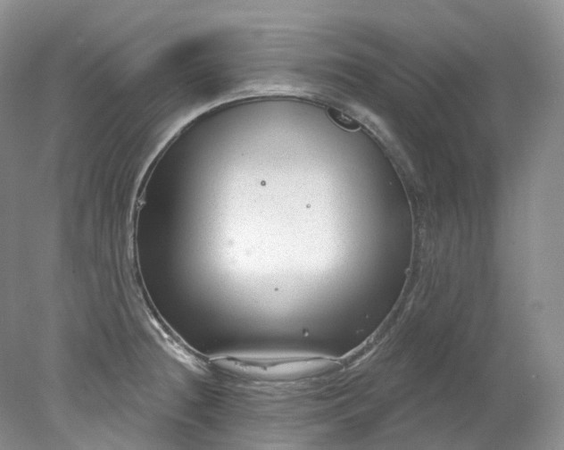 X0000078311236200611172206