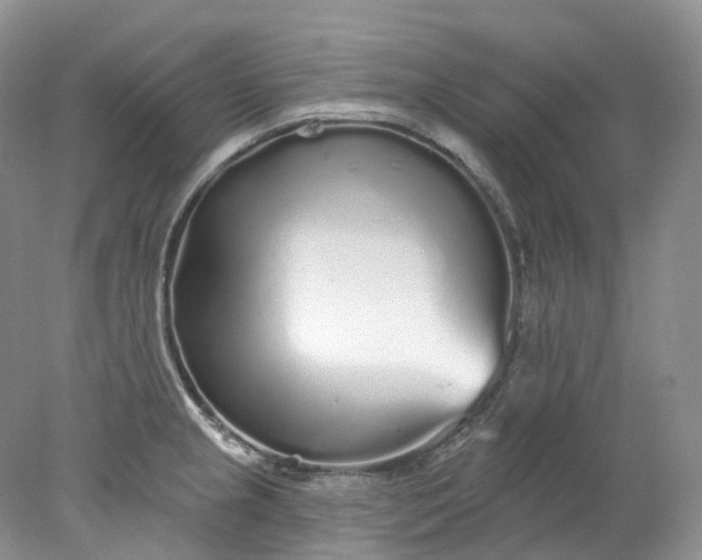 X0000078311237200611172206