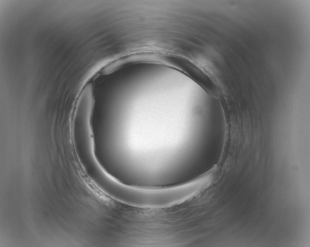 X0000078311238200611172206