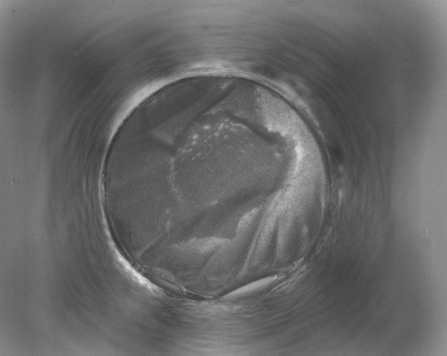 X0000078311239200611172206