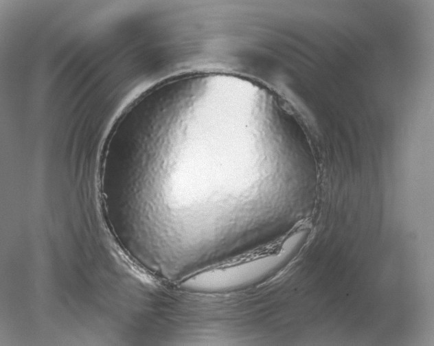 X0000078311240200611172206