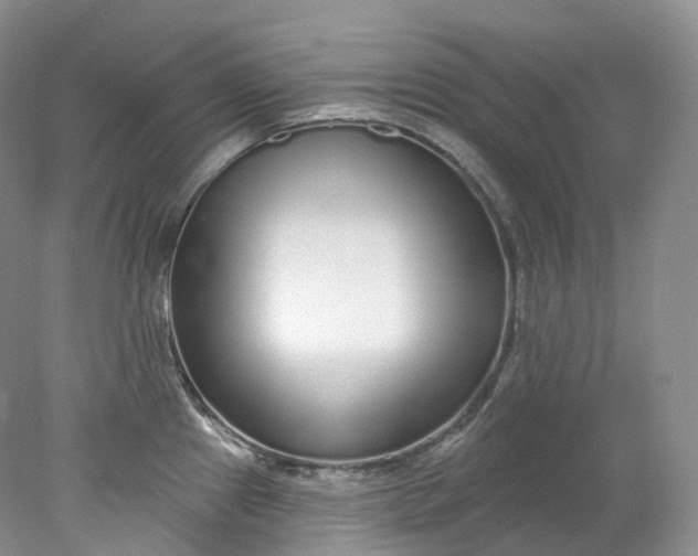 X0000078311241200611172206